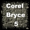 Описание Bryce 5